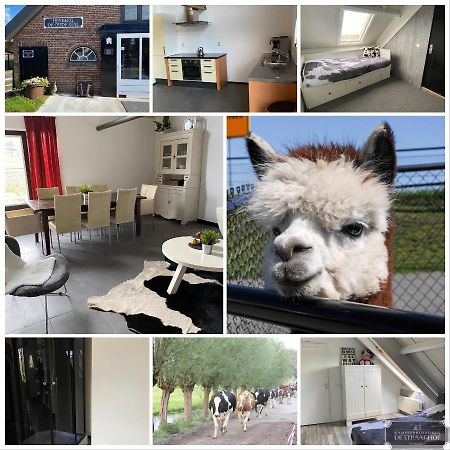 مبيت وإفطار Leimuiden Herberg Boerderij De Straat-Hof المظهر الخارجي الصورة