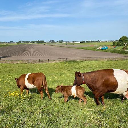 مبيت وإفطار Leimuiden Herberg Boerderij De Straat-Hof المظهر الخارجي الصورة