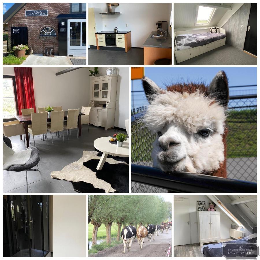 مبيت وإفطار Leimuiden Herberg Boerderij De Straat-Hof المظهر الخارجي الصورة