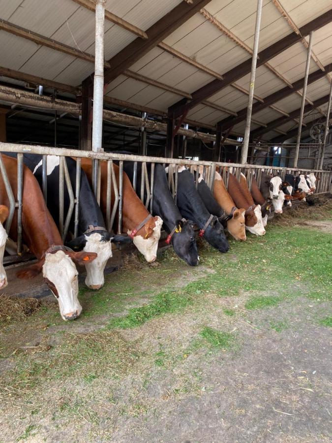 مبيت وإفطار Leimuiden Herberg Boerderij De Straat-Hof المظهر الخارجي الصورة