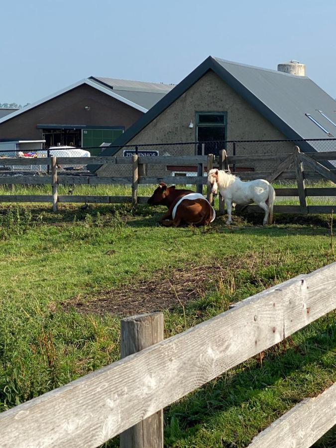 مبيت وإفطار Leimuiden Herberg Boerderij De Straat-Hof المظهر الخارجي الصورة