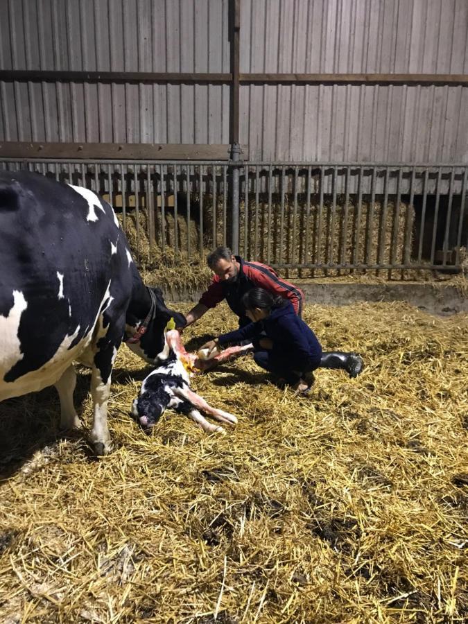 مبيت وإفطار Leimuiden Herberg Boerderij De Straat-Hof المظهر الخارجي الصورة