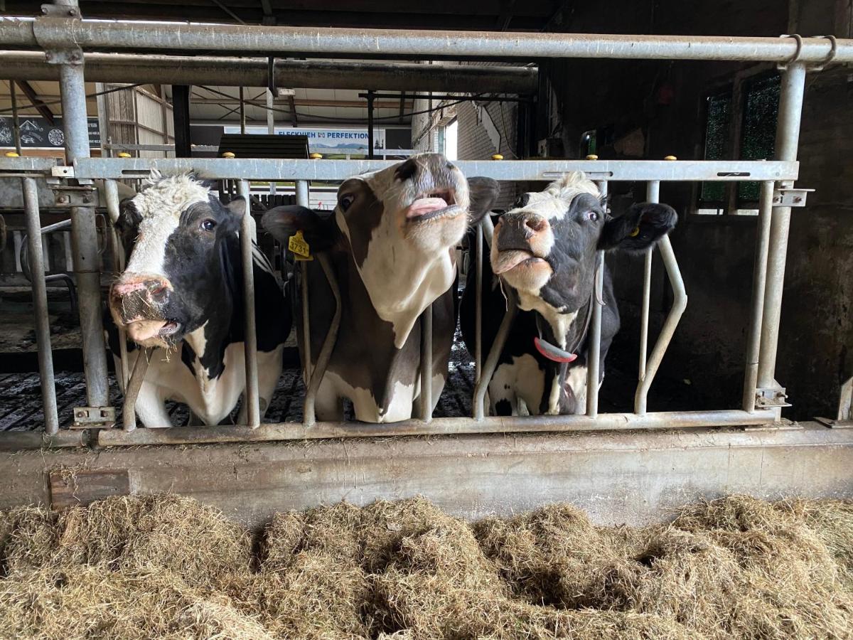 مبيت وإفطار Leimuiden Herberg Boerderij De Straat-Hof المظهر الخارجي الصورة