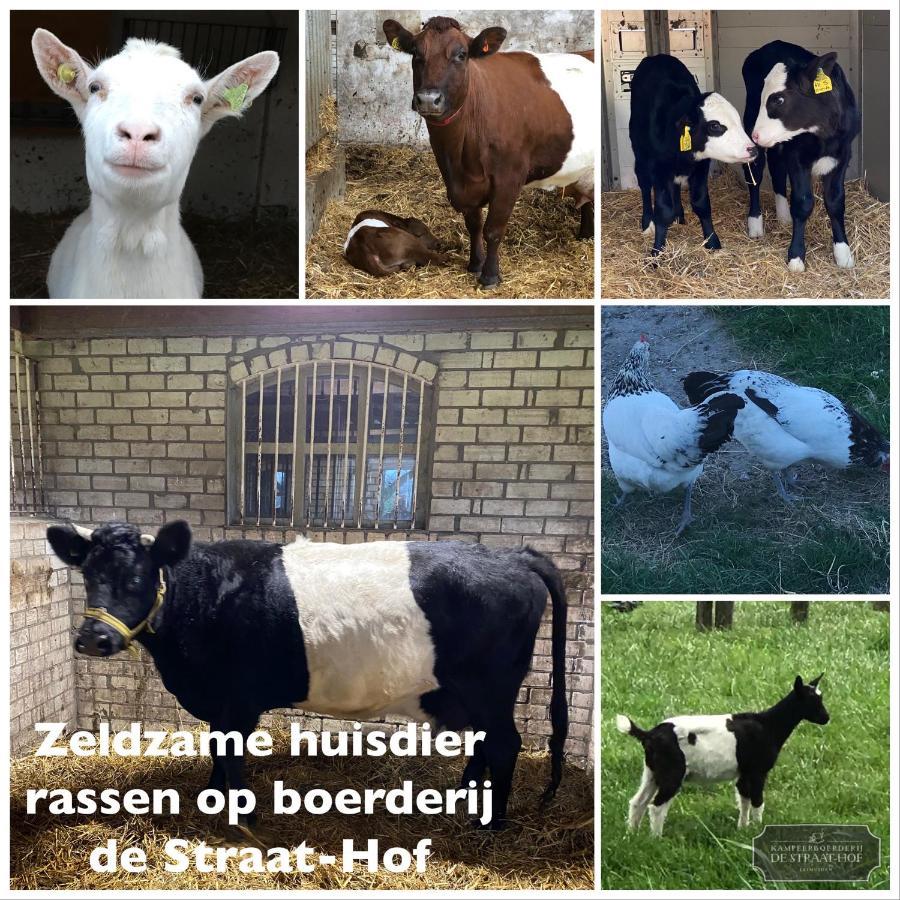 مبيت وإفطار Leimuiden Herberg Boerderij De Straat-Hof المظهر الخارجي الصورة