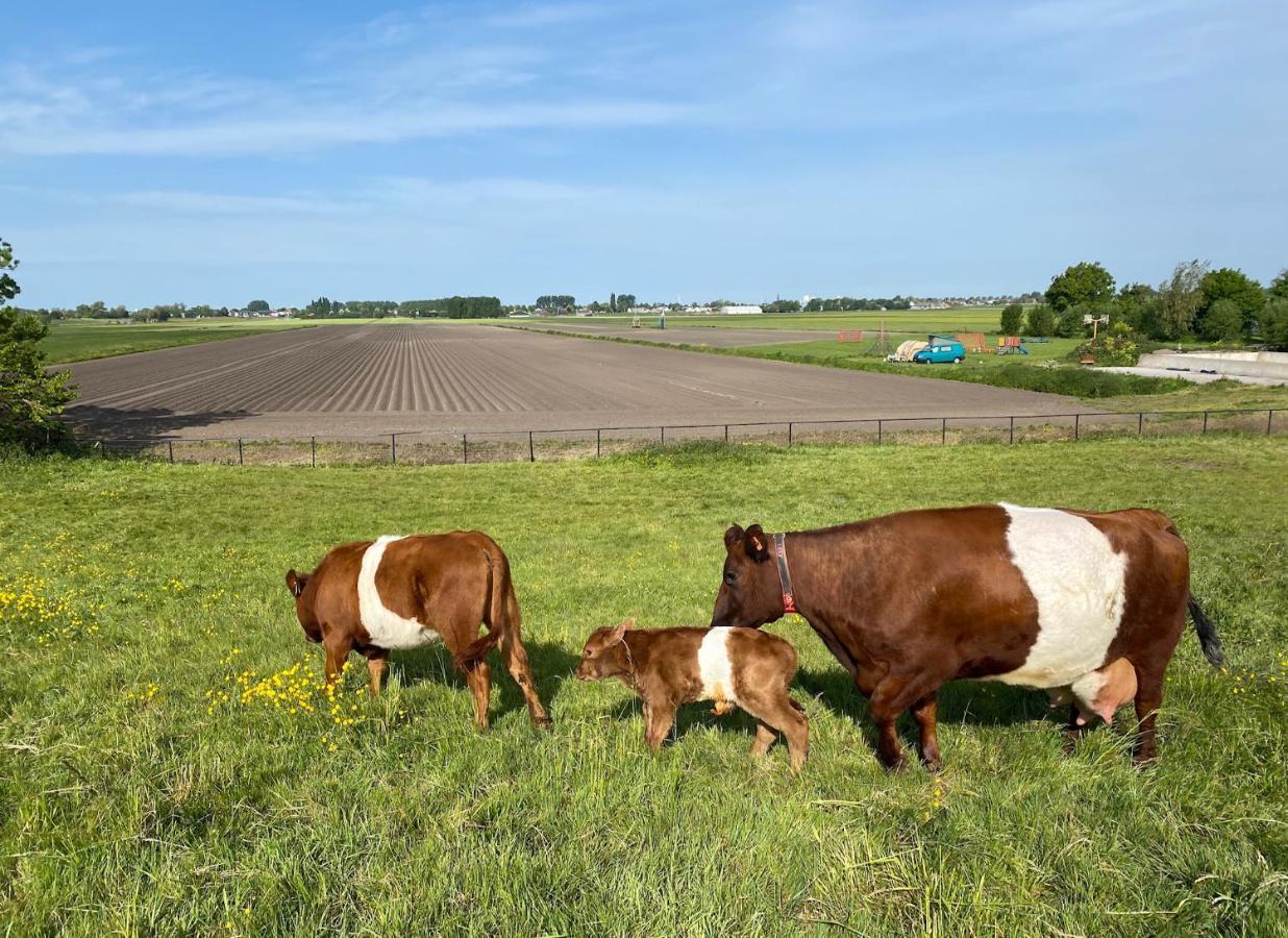 مبيت وإفطار Leimuiden Herberg Boerderij De Straat-Hof المظهر الخارجي الصورة